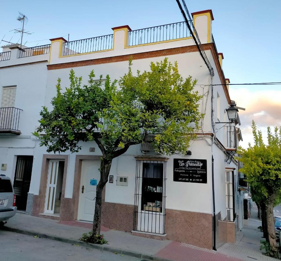 Jacaranda Villa Prado Del Rey Exterior photo